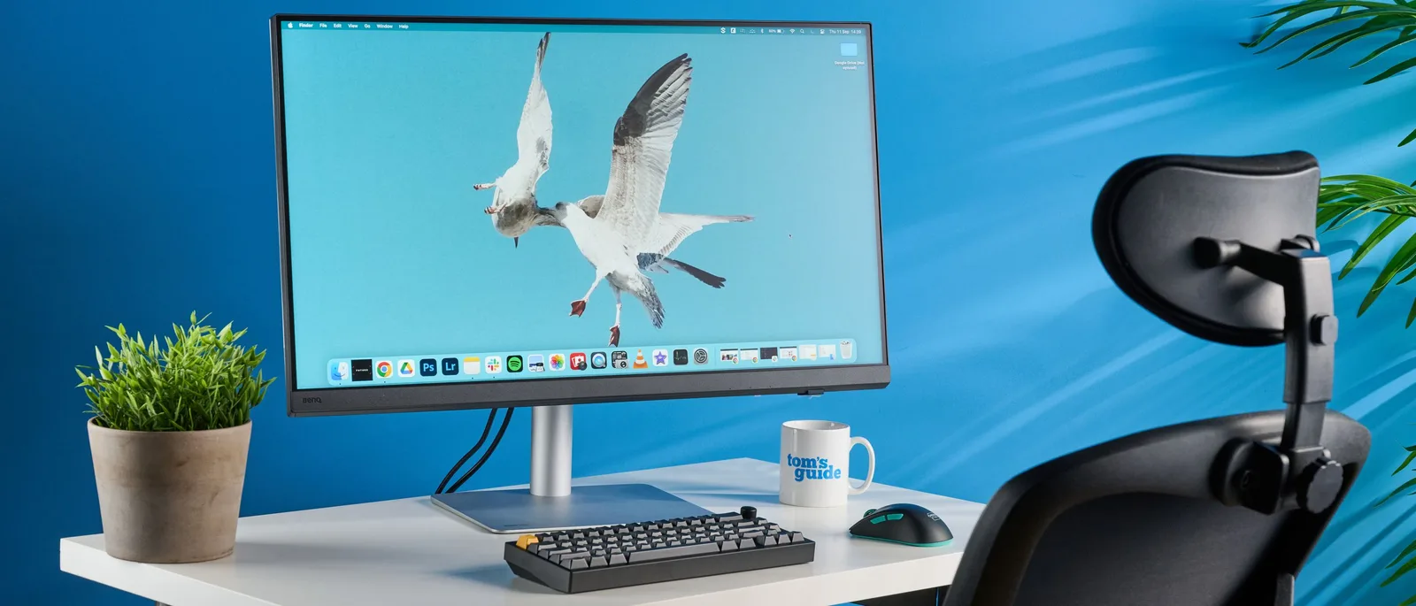 BenQ PD3226G photo 2