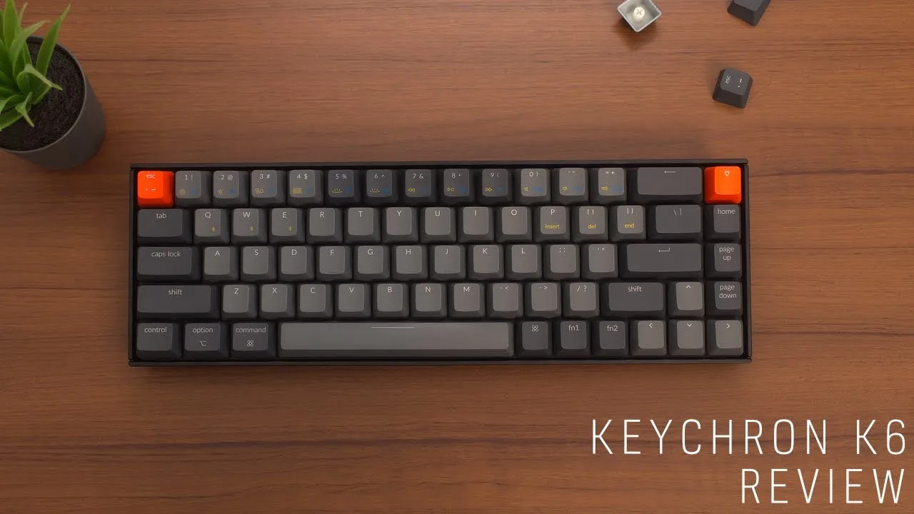 Dylans Decoded video review thumbnail