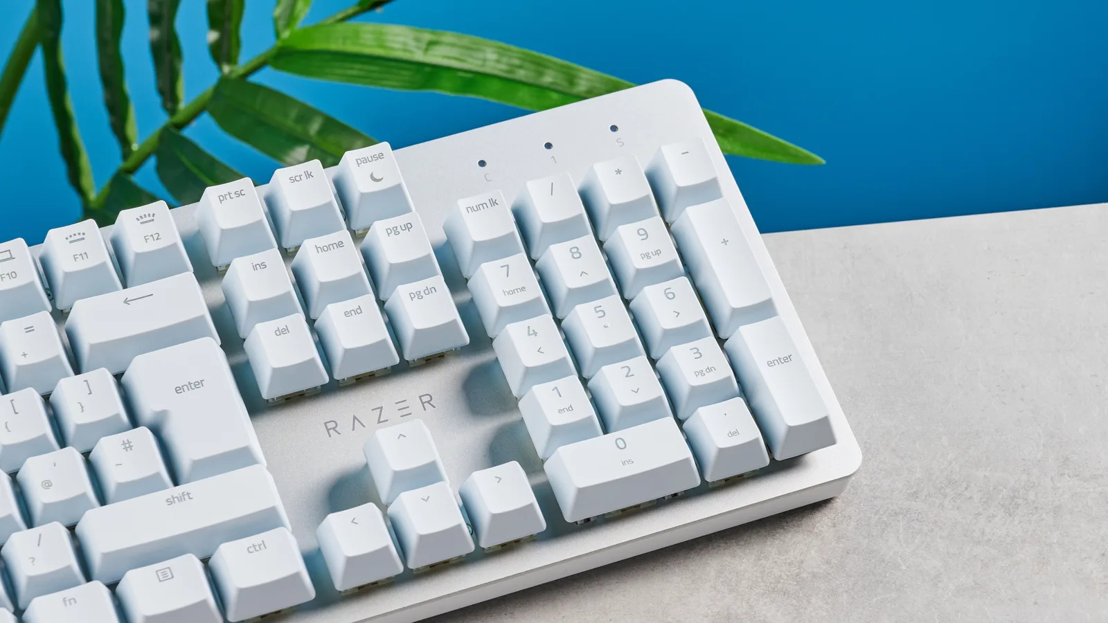 Razer Pro Type Ultra photo 3