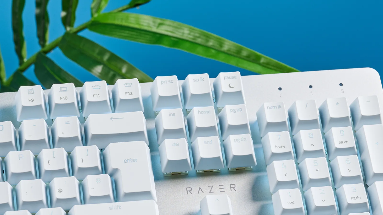 Razer Pro Type Ultra photo 4
